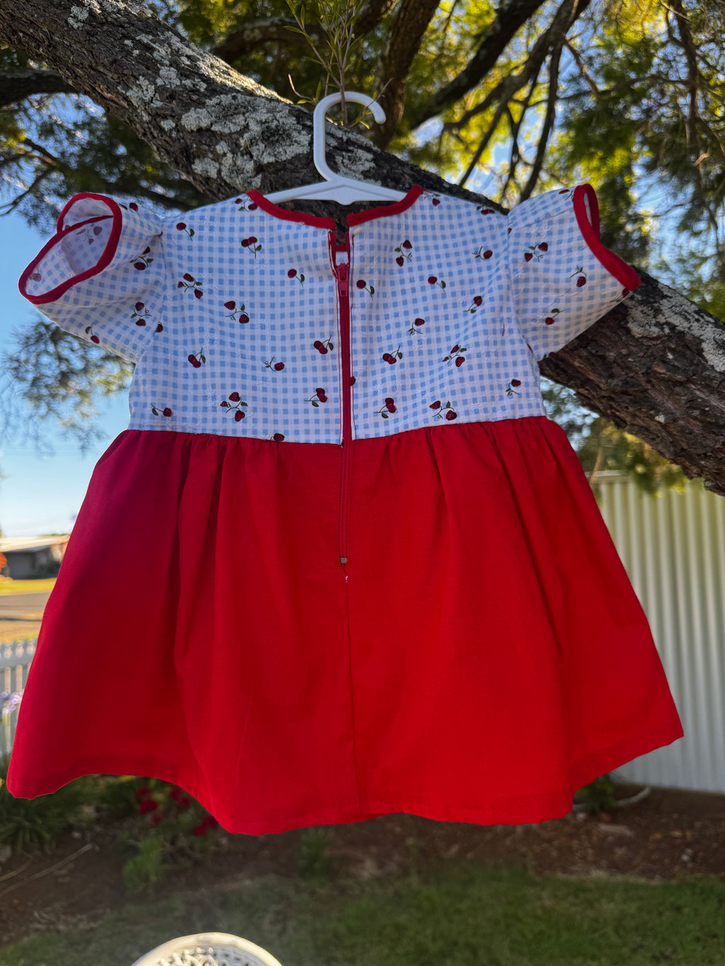 Strawberry on Red Dress